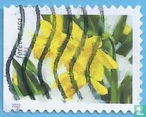 Daffodils
