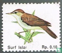 Îles de surf - oiseaux