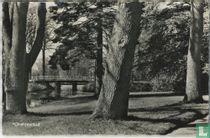 Oranjewoud 