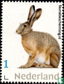 Wildlife protection