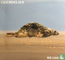 We Can Fly