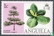 Arbres fleuris