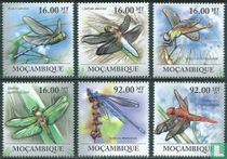 Dragonflies
