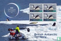 Frozen Planet II