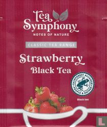 Tea Symphony theezakjes catalogus