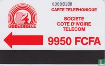 Carte téléphonique 9950 FCFA
