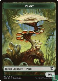 Plant / Citizen