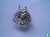Boy Scouts