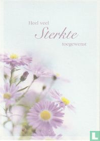 Heel veel Sterkte toegewenst 