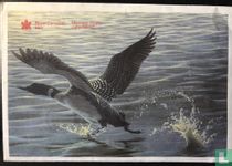 Canada mint set 1995 (PROOFLIKE)