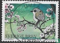 Oiseaux de printemps