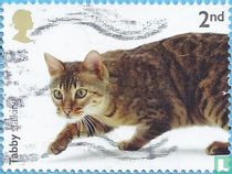 Les chats