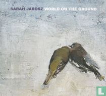 World on the Ground