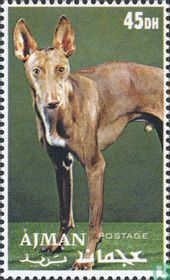 Dogs
