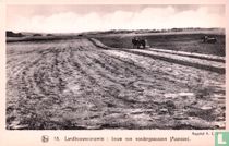 Landbouweconomie: bouw van voedergewassen (Assesse)