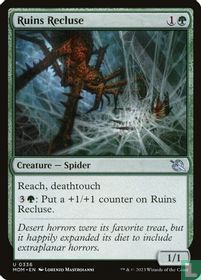 Ruins Recluse