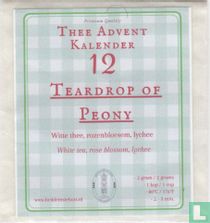 12 Teardrop of Peony