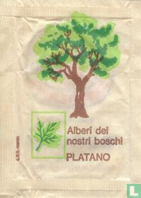 L.C.S. Marote - Platano