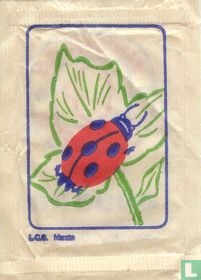 L.C.S. Marote