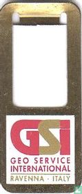 GSi 