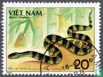 Venomous snakes
