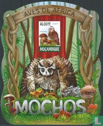 Owls