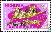 Leopard with FGN print