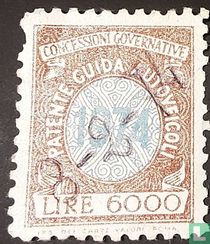 Overheidsconcessie autorijbewijs