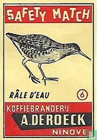 Râle d'eau - waterral