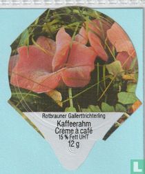 30 Rotbrauner Gallerttrichterling