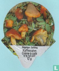 22 Kegeliger Saftling