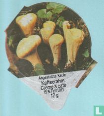 01 Abgestutzte Keule