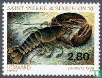Crustaceans and molluscs