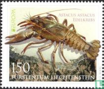 Europe - Endangered Species
