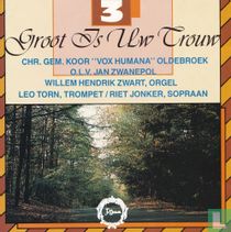 Groot is Uw trouw