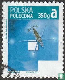 Insekten kaufen