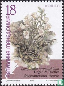 Mountain flowers