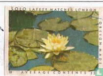 Solo safety matches London
