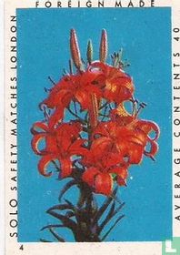 Solo safety matches London