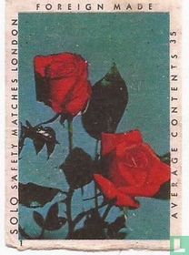Solo safety matches London
