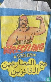 Super Wrestling Stars