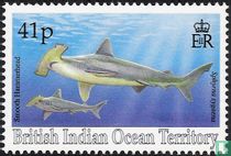 les requins