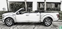 4-türiger Pick-up Cabrio modellautos / autominiaturen katalog