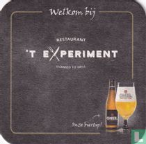 't Experiment