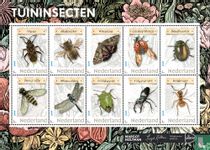 Garden insects