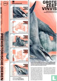 Grande baleine tamis