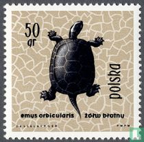 Reptiles et amphibiens