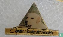 Chiens Guides des Hondres 