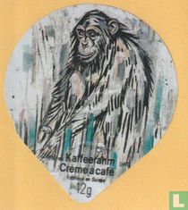 Tiere gezeichnet II 05