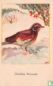 Vogel op besneeuwde grond